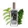 JEANMISS น้ำหอมผู้หญิง JEAN MISS EDT 50ML กลิ่นเบอร์ลินสาว กลิ่นหอม หอมฟีโรโมนยาวนาน