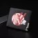 PU Leather Ort WLET SE ID Card Holder Money Bag for Anime Darg in the Franxx Ditf Print Students