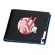 Darg In The Franxx Anime Ort Wlet Zero Two Cartoon Money Bag Brand Id Card Holder Pu Leather Ses Boys Clutch Bag