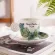 Small Fresh Style Monstera 90cc Frost Italian Espresso Coffee Cup Set With Tray Best For Lover Tea Cup Tazas Tasse Xicara