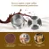 Brand New Stainless Steel Reusable Coffee Filter Refillable Capsule Cup Pod Tamper for Illy 3.2 Machine