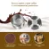 Brand New Stainless Steel Reusable Coffee Filter Refillable Capsule Cup Pod Tamper For Illy 3.2 Machine