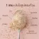 Giffarine, Vita, ready -made cereal, corn odor, no sugar and sugar, diabetes can be eaten 15 sachets