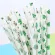 Disposable Paper Straws Coctus Illustration Drinking Paper Straws Kitchen Disposable Tool 25 PCS Creative Straw