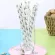 Disposable Paper Straws Coco Cactus Illustration Drinking Paper Straws Kitchen Disposable Tool 25 Pcs Creative Straw