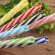 1PC Mix Color Striped Straw with Ring Plastic Thread Mug Tool Colorful Straws Grade PP Reusable Drink Food Straws Hard Bu K1A5