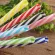 1pc Mix Color Striped Straw With Ring Plastic Threaded Mug Tool Colorful Straws Grade Pp Reusable Drink Food Straws Hard Bu K1a5