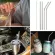 1/2/4PCS Stainless Steel Straw Reusable Metal Drinking Straw with Cleaner Brush for Home Party Barware Bar Accessories New