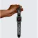 พร้อมส่งCasetify Carnival Apple Watchband.