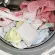 Laundry Magchan นวัตกรรมซักผ้าฆ่าเชื้อโรค ไร้สารตกค้าง 100% นำเข้าจากญี่ปุ่น ของแท้
