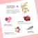 SoulSis Plant Protein, 4 -box protein protein before/after exercise Replace weight loss meals, build muscle, lean, fat