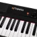 Artesia Performer Piano Piano, Digital Piano 88 Key per computer/iPad + free piano legs DF111 & Pedal & Pedal & Adapter ** 1 year warranty **