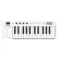 MIDIPLUS X2 Mini Keyboard Dumb 25 Key Touch Piano Piano, Portable, USB and MIDI, get free + free USB & 1 year warranty **