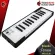 A Arturia Microlab Midi Keyboard 25 Keys, some key players, easy to play, easy to carry, can connect the USB with free gifts - Red turtle