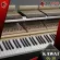 Kawai GL-10 Piano Ebony Polaish, Mahogany Polish, White Polish [Free gift] [with check QC] [100%authentic] [Free Delivery] Red turtle