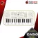 CASIO SA50, SA51 + Full Option keyboard, ready to play SA-50, SA-51 [Free free gift] [100%authentic from zero] [Free delivery] Red turtle