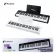 New/มี Touching Key เปียโนไฟฟ้า 61คีย์ Pastel POPPIANO คีย์บอร์ดไฟฟ้า 61คีย์ แถม คู่มือ+หม้อแปลง เปียโน 61คีย์