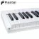 New/Touching Key Piano Fah 61 Pastel Poppiano Key Board 61 Key Key, Hand Guide+Piano Potenia 61 Key