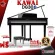 [Bangkok & Metropolitan Region to send Grab Quick] Kawai DG30 piano - Digital Piano Kawai DG30 [Free giveaway] [with check QC] [100%authentic] [Free delivery] [Insurance] Red turtle