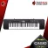 [กทม.&ปริมณฑล ส่งGrabด่วน] คีย์บอร์ด Casio CTK240 - Keyboard Casio CTK-240 [ฟรีของแถมครบชุด] [แท้100%] [ผ่อน0%] [ประกันจากศูนย์] [ส่งฟรี] เต่าแดง