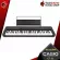 Keyboard Casio CTS1 Black, Red, White CT-S1 + Full Option [Free giveaway] [100%authentic] [Free delivery] Red turtle
