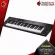 [กทม.&ปริมณฑล ส่งGrabด่วน] เปียโนไฟฟ้า Artesia A61 สี Black , White - Digital piano Artesia A-61 [ฟรีของแถม] [ส่งฟรี] [ประกันจากศูนย์] เต่าแดง