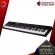 [กทม.&ปริมณฑล ส่งGrabด่วน] เปียโนไฟฟ้า Artesia Performer + Full Option [88 Keys] [ฟรีของแถม] [ส่งฟรี] [ประกันจากศูนย์] เต่าแดง