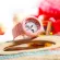 นาฬิกาข้อมือ ผู้หญิง คาสิโอ CASIO BABY-G ซีรีส์ Beach Traveler รุ่น BGA-250-1A2