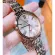 CASIO SHEEN Watch, She-3066PG-4AUDF, Pink Gold, She-3066PG-4