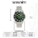Authentic BOSCK watches, waterproof, deeper 30m. The stainless steel strap is definitely not copied. Prevent scratches, model BO-101