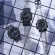 Casio G-Shock, Special Color, Men's Watch GA-900SKE-8 GA-900 GA-900SKE-8