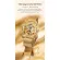 [1 year warranty] Ciga Design Z Series Gold Automatic Mechanical Watch - Automatic Sica Design Model Z Series Gold