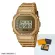 Casino wristwatch [LimitedDision] G-Shock Gold Chain DWE-5600HG-1 | G-Shock | Watch | Casio Box Set DWE-5600HG-1