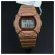 Men's Watch Casio G-Shock Digital Special Color DW-5600 Series DW-5700PT-5 DW-5700PT-5