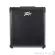 Peavey: Max 250 by Millionhead (15 inch amps, driving 250 watts, provides excellent sound power)