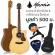 Mantic AG-370C, 40-inch guitar, Dreadnough shape, concave neck, spruce/mahogany coated + free bag & kapok