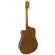 Mantic AG-370C, 40-inch guitar, Dreadnough shape, concave neck, spruce/mahogany coated + free bag & kapok