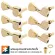 Paramount J04 Gold ลูกบิดกีตาร์โปร่ง อย่างดี แบบโลหะ ติดตั้ง 2 ช้าง Tuning Machine Head for Acoustic Guitar + แถมฟรีน็อต ** Made in Korea **