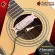 ปิ๊กอัพกีต้าร์โปร่ง Flanger FP09 Acoustic Guitar Pickup ให้เสียงเป็นธรรมชาติ ดีไซน์วินเทจ ติดตั้งสะดวกใช้ง่าย - เต่าแดง