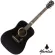 Mantic GT-1D 41 inch guitar, Dreadnough shape, Angle Man Sopz/Cherry Wood + Free Bag & Pick