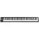 ICON® IKEYBORD 8 NANO Keyboard Dumb 88 Key Whew Press Full-Size per MIDI can connect to the pedal. Supports usage on PC, Mac.