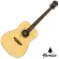 MANTIC AG-370, airy guitar, 40 inches, Dreadnough shape, Sprueus/Mahokani coated + free bag & tuner & kapo & set