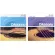 D'Addario® Ultra Pack, Guitar Guitar, EJ26+ EZ910, Airy Guitar No. 11, 100% genuine Custom Light ** Made in USA