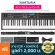 Arturia® Keylab Essential 88 Midi Controller, a dumb keyboard 88 keyboard Semi-Weighted to USB/MIDI/Pedal + Free
