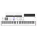 Arturia® Keylab 88 MKII MIDI CONTROLLER HAMMER-AATION Keyboard 16 PAD/ 9 Fader/ 9 Rotary + Free USB & ABLETON LITE LITE ** Center insurance