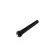 Paramount BP001 หมุดกีตาร์ 12 ตัว แบบมีจุดแต้ม Bridge Pin with Dots Acoustic Guitars / Pack of 12