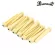 Paramount BP001 หมุดกีตาร์ 12 ตัว แบบมีจุดแต้ม Bridge Pin with Dots Acoustic Guitars / Pack of 12