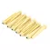 Paramount BP001 หมุดกีตาร์ 12 ตัว แบบมีจุดแต้ม Bridge Pin with Dots Acoustic Guitars / Pack of 12