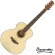 Baracuda GS2EQ, 36 -inch electric guitar, GS Mini shape, Spoon/Mahokani ** ** There is a built -in strap ** + free bag & ko