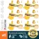 GotoH® SG381 Stardard 07-L6-GG Gold guitar knob, golden electric guitar, Square head cover Zinc Gold / Left-Sedd Tuning M